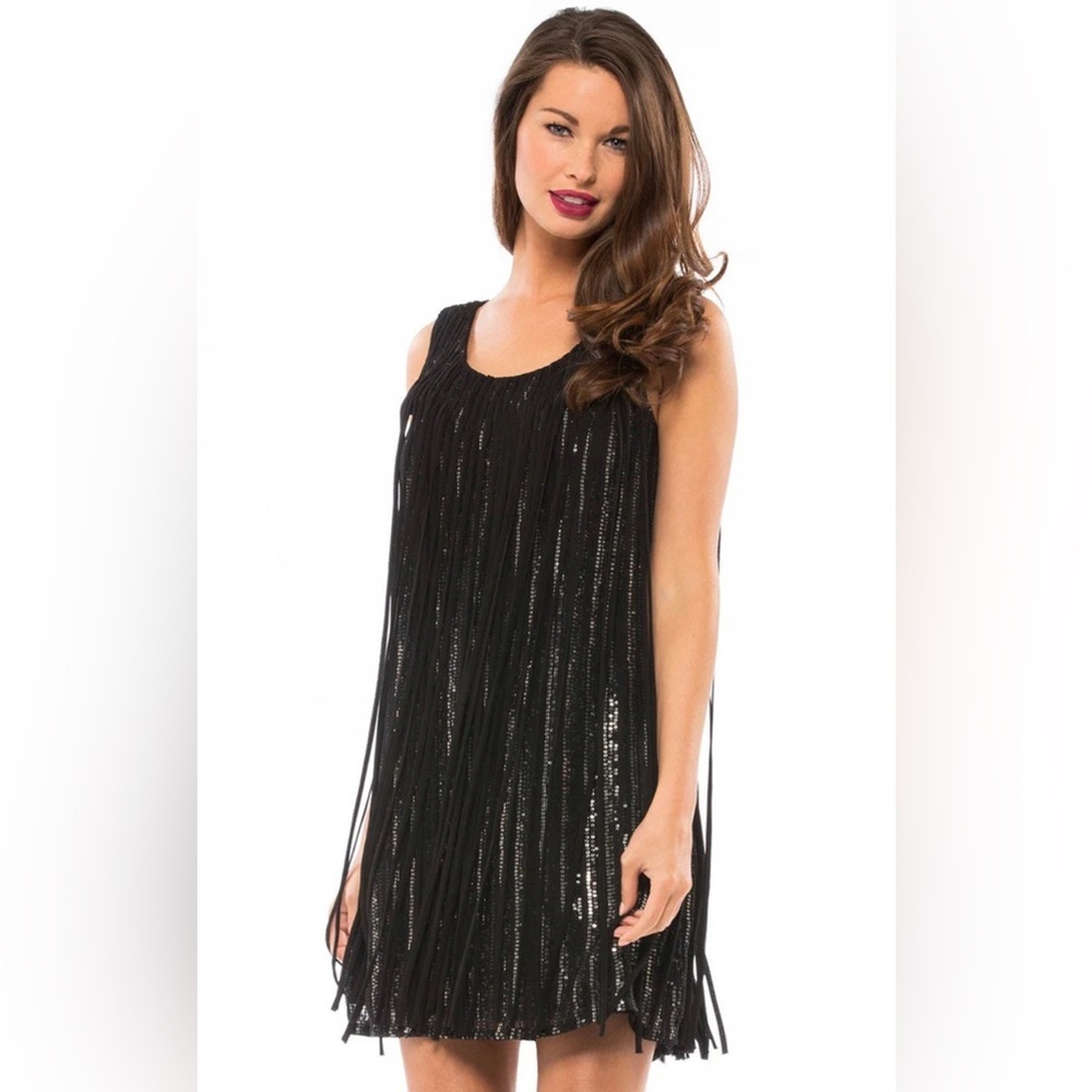 Parker Bryant Dress Fringe Trim Sequins Silk Size Small Black Nwt